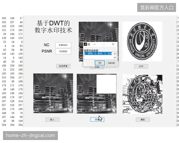 三年内基于数字水印的赛事指挥调度闭环将支撑安保服务市场的规模化扩张 三年内基于数字水印的赛事指挥调度闭环将支撑安保服务市场的规模化扩张